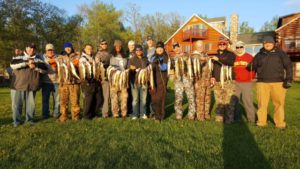 Great string of walleyes from 2016 opener.