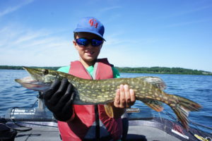 Young client with a nice northern caught on Cass Lake.