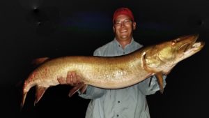 Brent Nykamp with a great evening muskie.