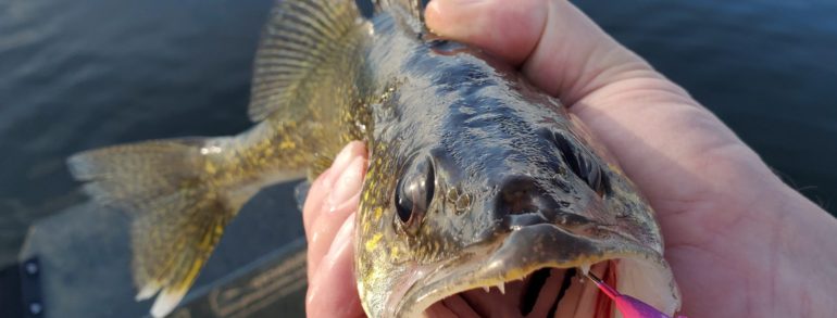 Leisure Outdoor Adventures Fishing Report – May 20, 2020